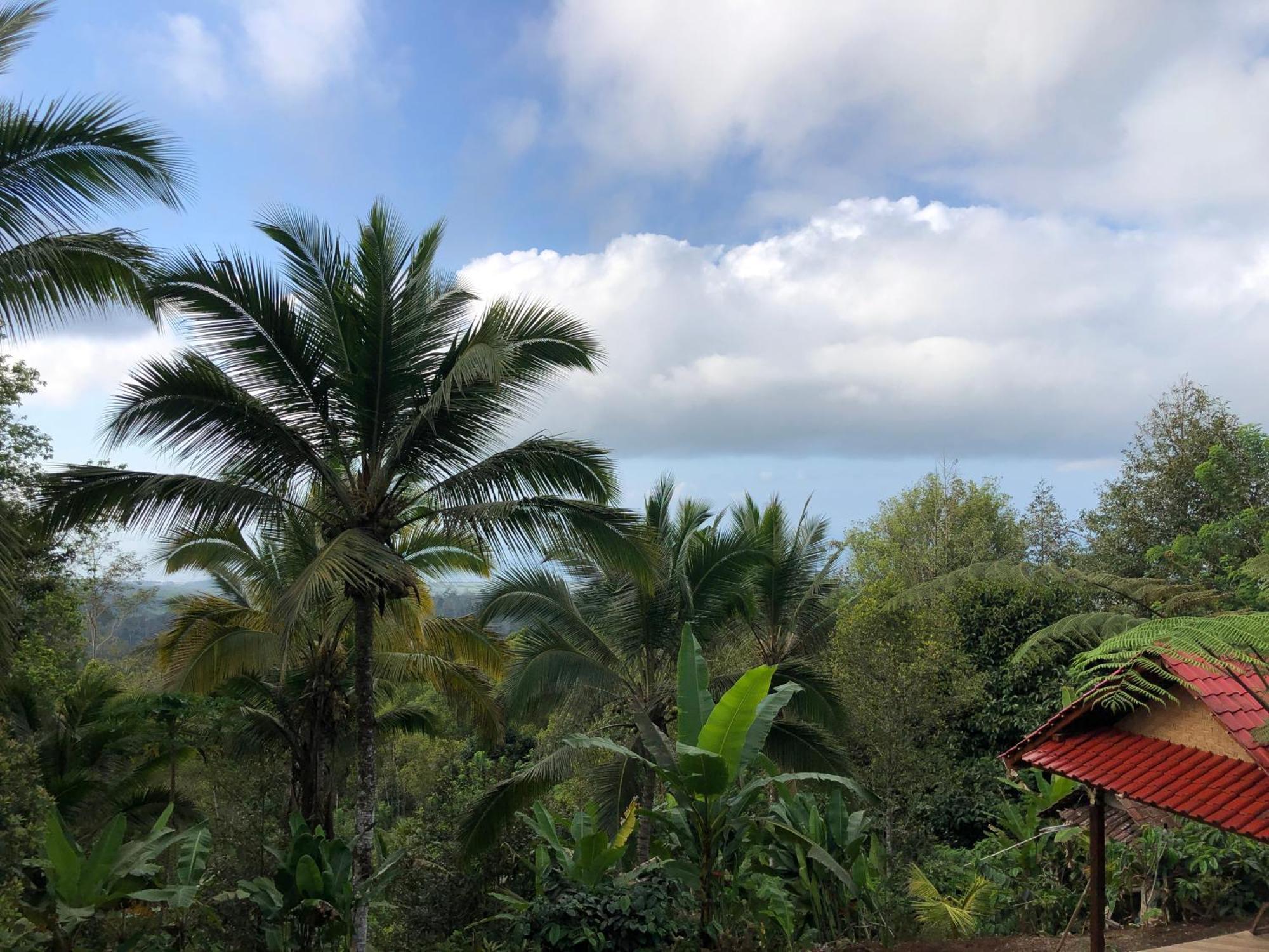 Sedana Yoga Resort Jembrana  Exterior photo